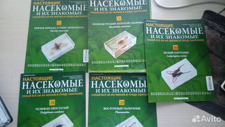 Насекомые деагостини