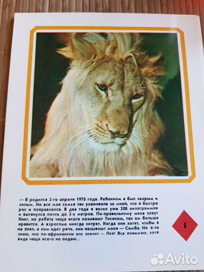 Набор открыток ссср, раритет