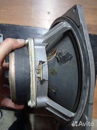 Нч динамики 30гд2-4ом S90