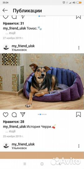 Лежанки, матрасики, автогамак для собак и кошек