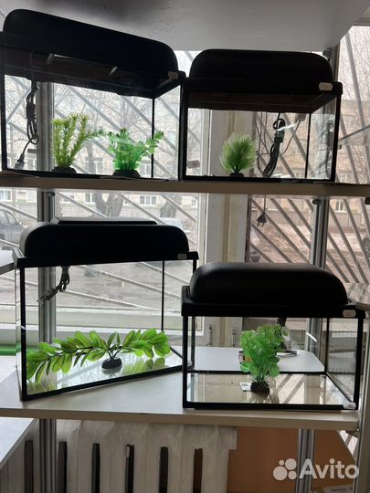 Аквариум новый