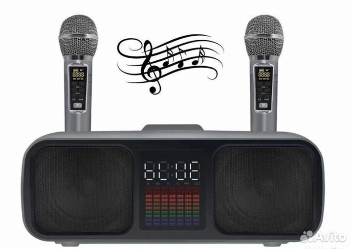 Караоке система с двумя радиомикрофонами sdrdsd318