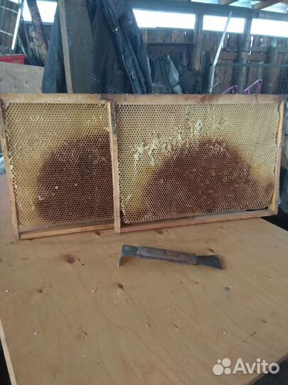 Сушь для пчел