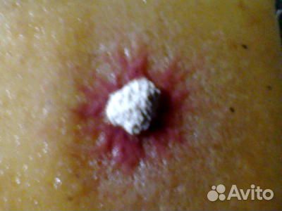 Для аквариума