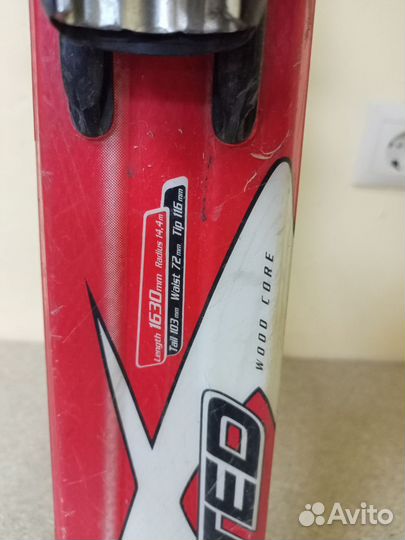 Горные лыжи