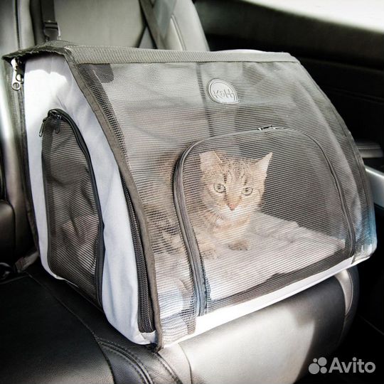 Зоотакси - такси для животных