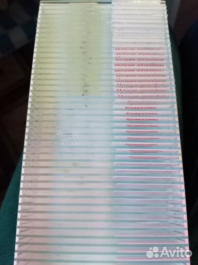 Микропрепарат Общая биология