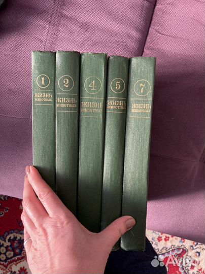 Мир животных энциклопедия