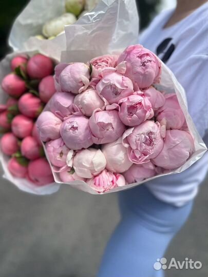 Пионы красивые доставка на день рождения маме