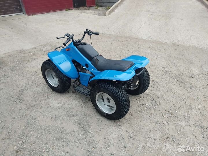 Зид Робинзон