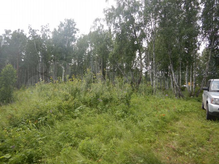 Участок 12,3 сот. (СНТ, ДНП)