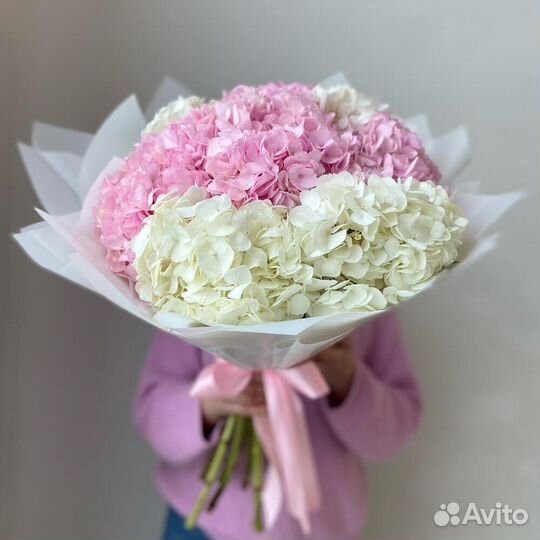 Цветы Гортензии, цена от производителя