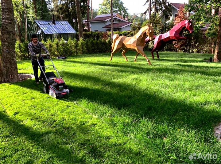 Рулонный газон