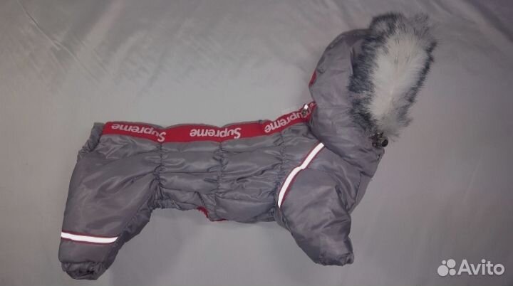 Одежда для маленьких собак xs