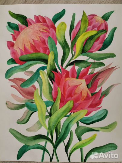 Рисунок акварель