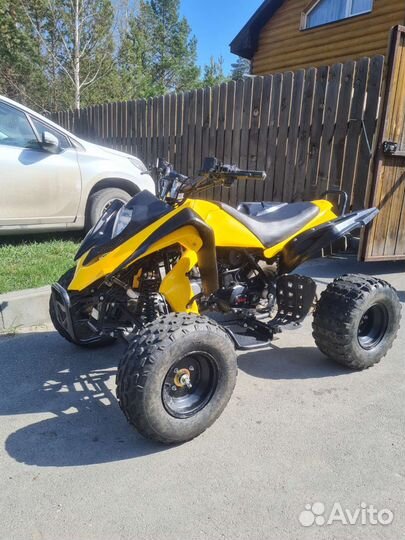 Рысь 125