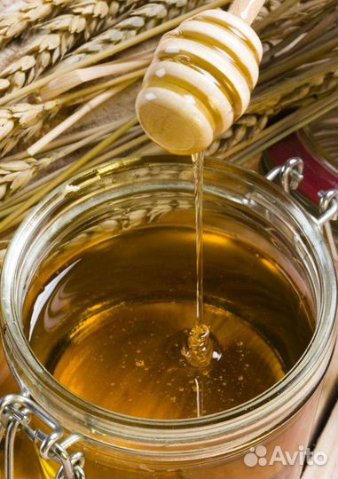Мёд майский (акация)