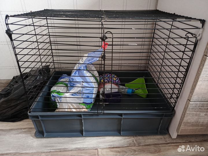 Клетка для грызуна крысы