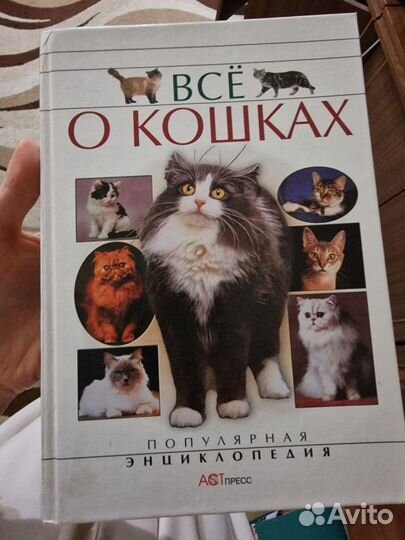 Энциклопедия о кошках. Розы