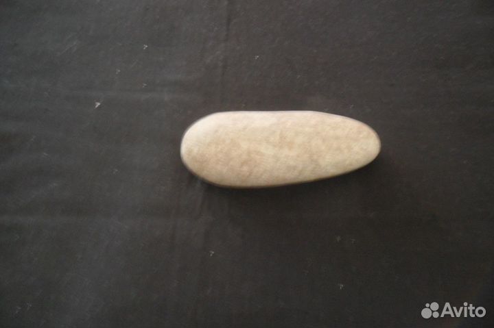 Аквариум и открытки Пестрый мир аквариума