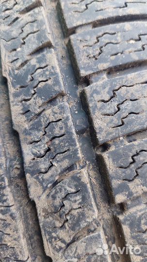 Nokian Tyres WR A3 225/50 R17 98V
