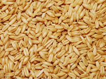 Продаем пшеницу