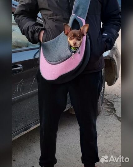 Сумка переноска для собак