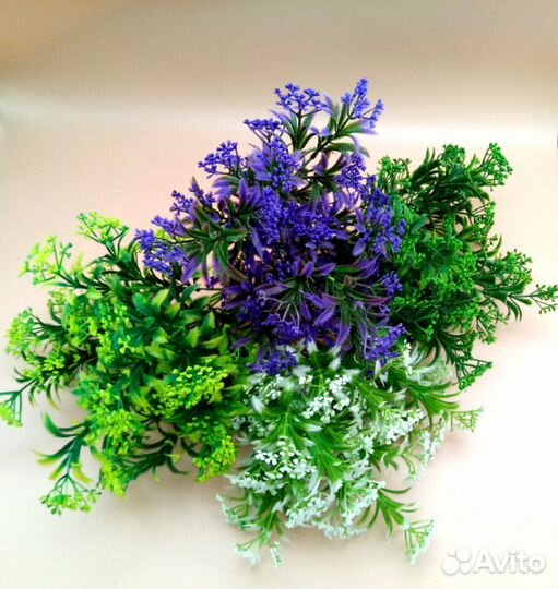 Флористика