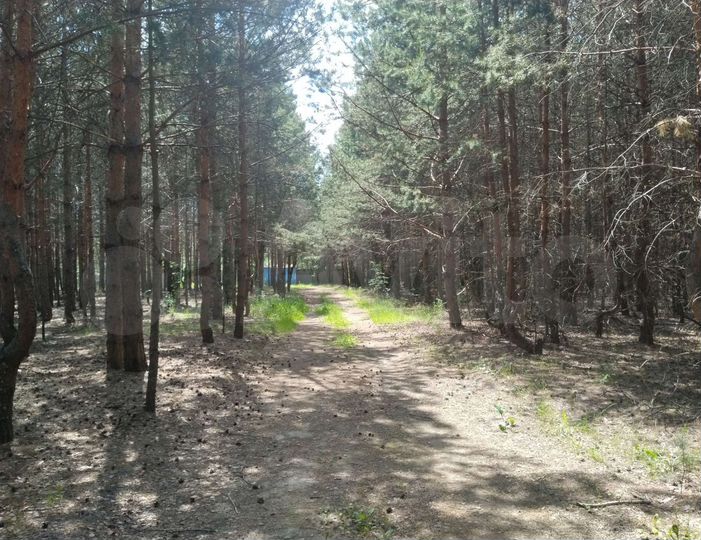 Участок 30 сот. (СНТ, ДНП)