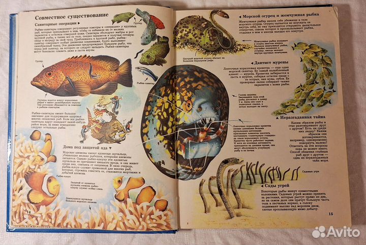 Книга Тайны живой природы