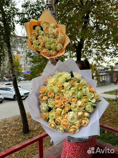 25 роз 51 роза