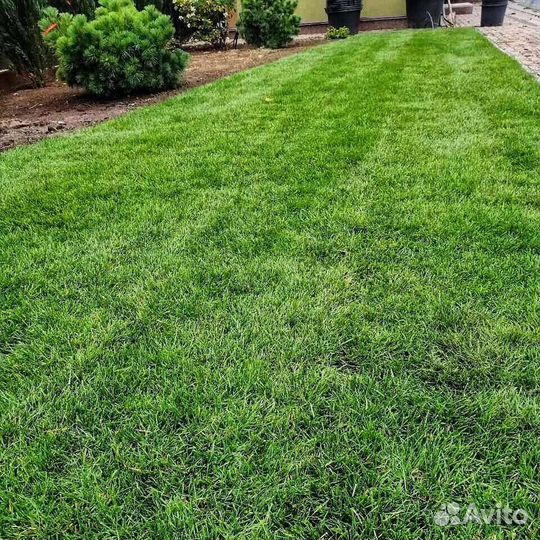 Покос травы