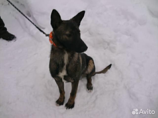 Метис малинуа, девочка