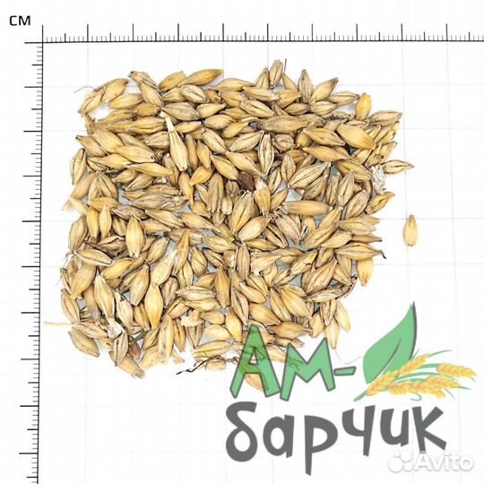 Ячмень фуражный 35 кг