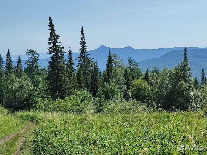 Поход в горы