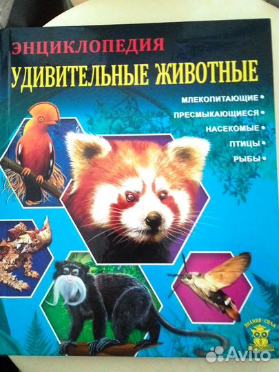 Энциклопедии для детей