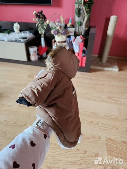 Куртка для собак мелких пород, кошек, новая