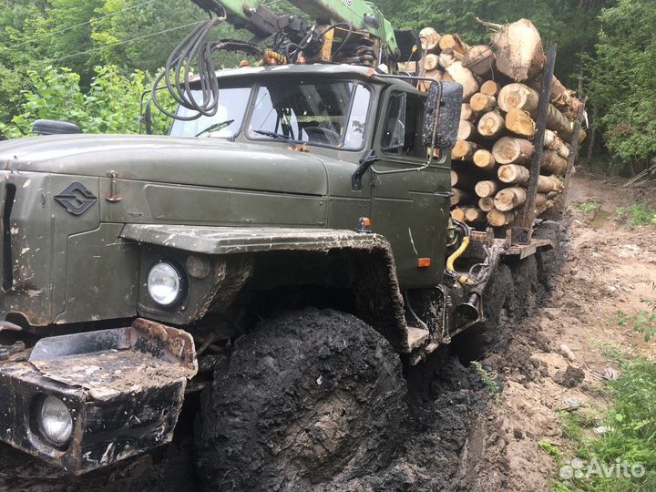 Услуги лесовоза урал