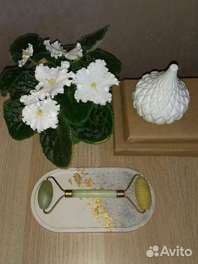 Поднос для ролика гуаша