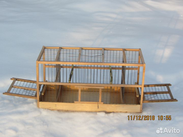 Певчие птицы