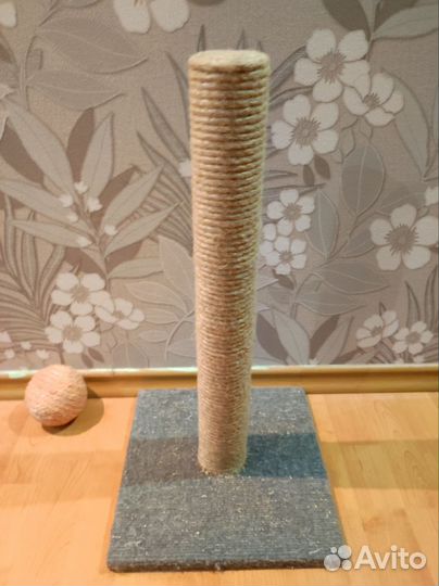 Когтеточка