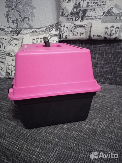 Аренда переноски для кошки, маленькой собачки