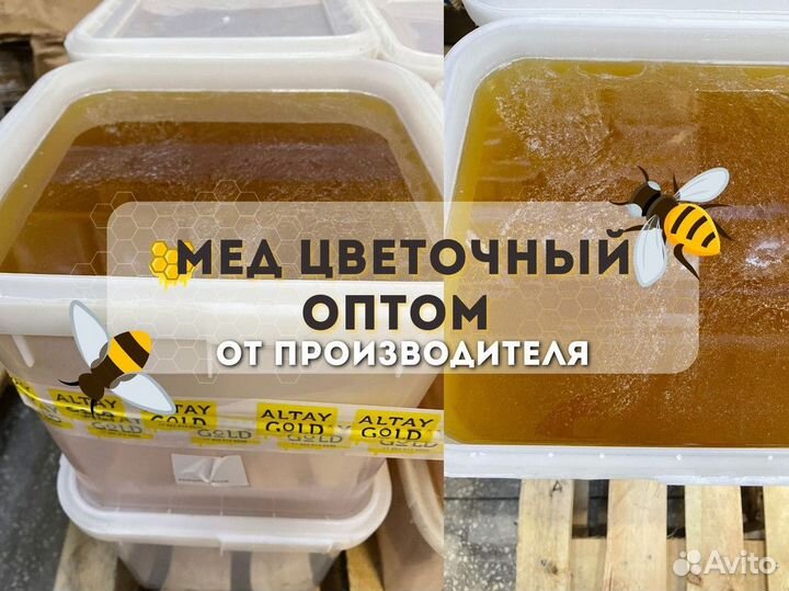 Свежий мед цветочный оптом