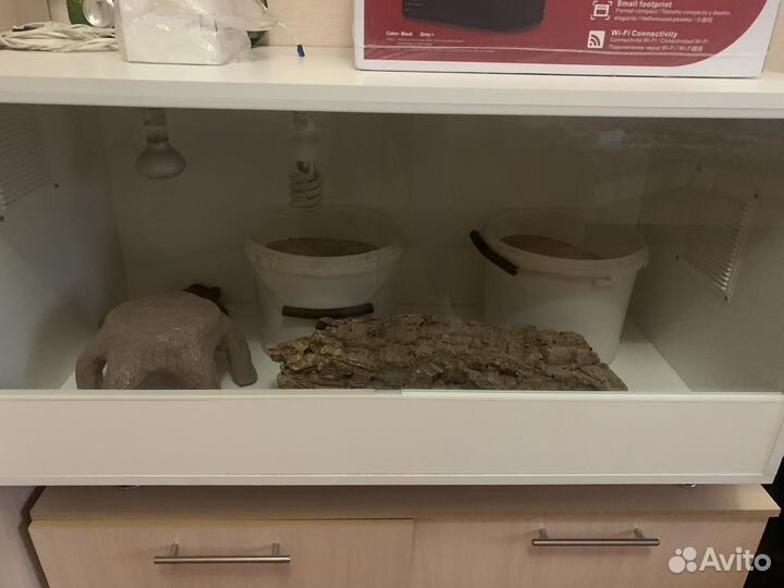 Террариум для рептилий бу