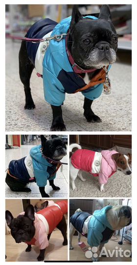 Комбинезон для собак, кошек (новый)