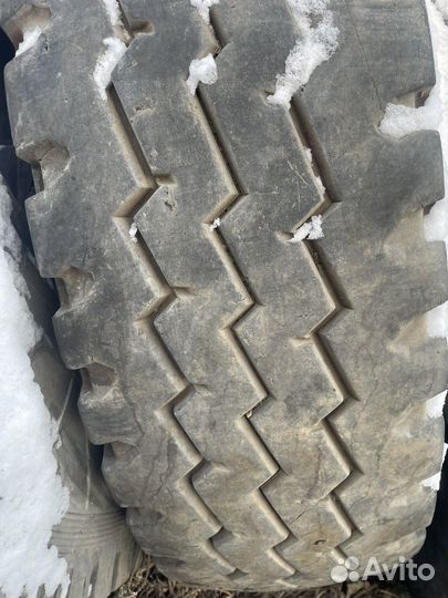 Змейка 12.00r20,4 штуки