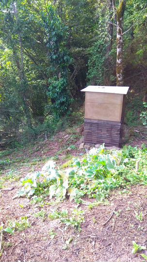 Участок 8,3 сот. (СНТ, ДНП)