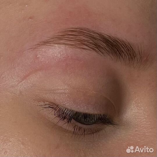 Мастер бровист