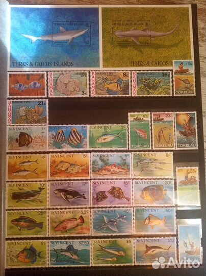 Альбом с марками (Рыбы)