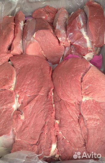 Мясо говядина. Бычки